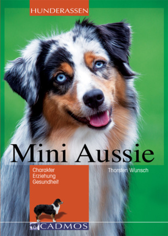 Thorsten Wunsch. Mini Aussie