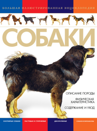 . Собаки. Большая иллюстрированная энциклопедия