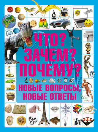 . Что? Зачем? Почему? Новые вопросы, новые ответы