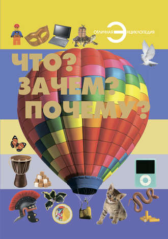 . Что? Зачем? Почему?