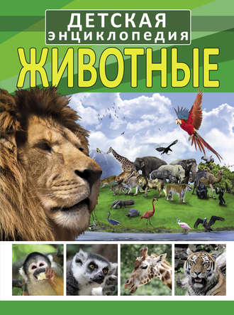 . Животные