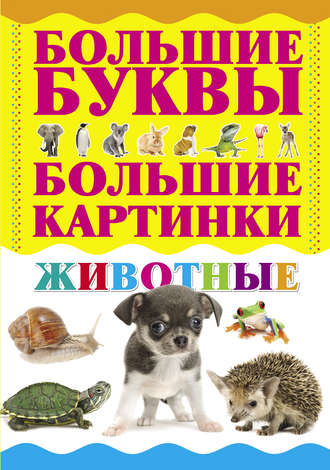 . Животные