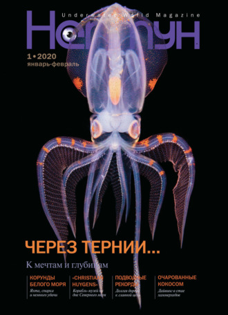 . Нептун №1/2020