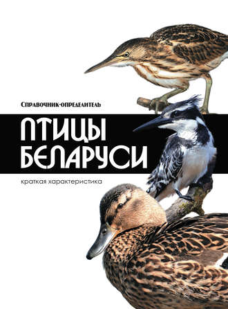 . Птицы Беларуси
