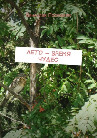 . Лето – время чудес