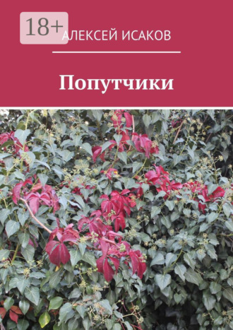 . Попутчики