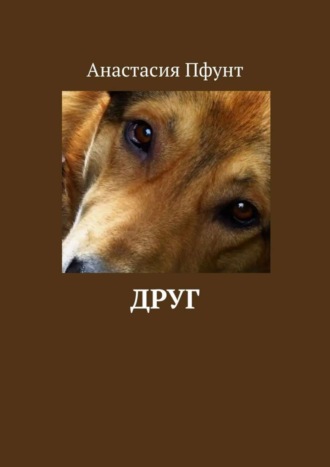 Анастасия Пфунт. Друг