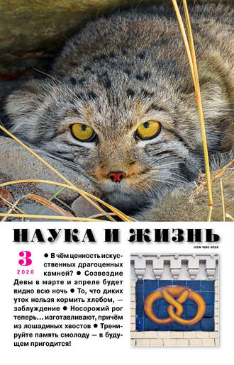 . Наука и жизнь №03/2020