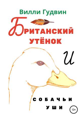 . Британский утенок. Собачьи уши