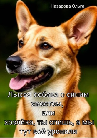 . Лысая собака с синим хвостом, или хозяйка, ты спишь, а мы тут всё уронили!