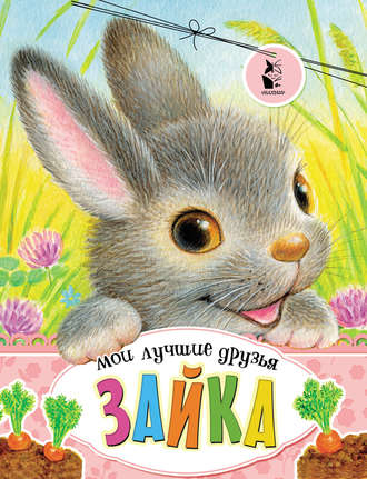 . Зайка