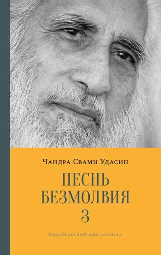 . Песнь безмолвия. Книга 3