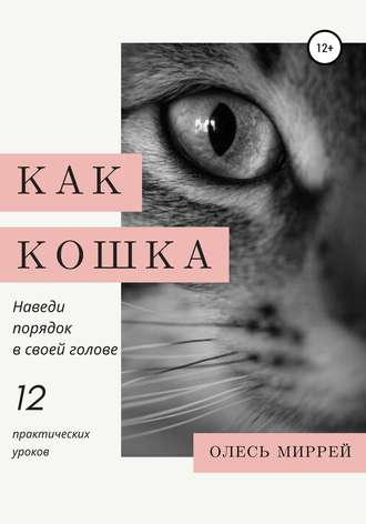 Олесь Миррей. Как кошка. Наведи порядок в своей голове