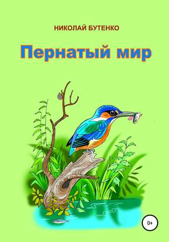 . Пернатый мир