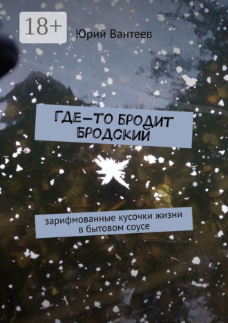 . Где-то бродит Бродский. Зарифмованные кусочки жизни в бытовом соусе