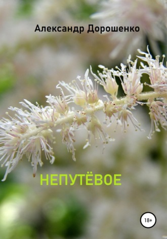 . Непутёвое