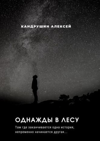 . Однажды в лесу. Там где начинается одна история, непременно начинается другая…