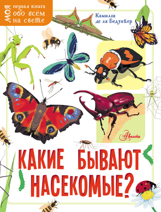 . Какие бывают насекомые?