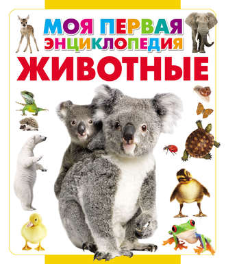 . Животные