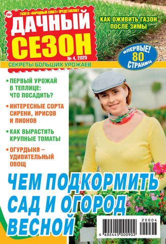 . Дачный сезон №04/2020