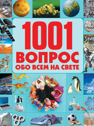 . 1001 вопрос обо всем на свете