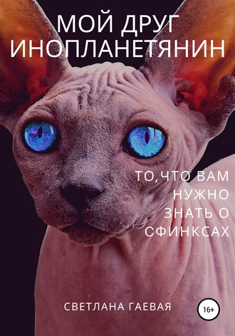 . Мой друг инопланетянин. То, что вам нужно знать о сфинксах