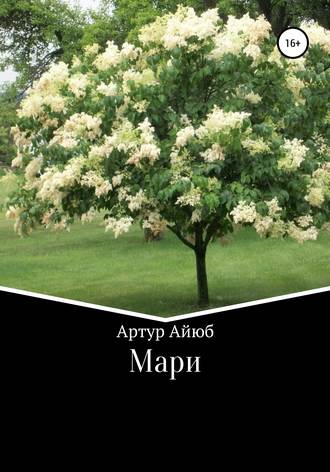 . Мари