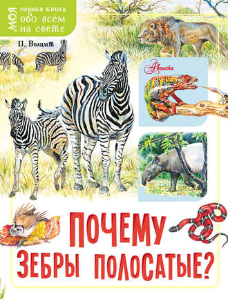 . Почему зебры полосатые?