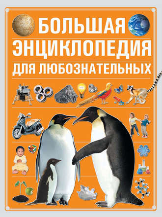 . Большая энциклопедия для любознательных