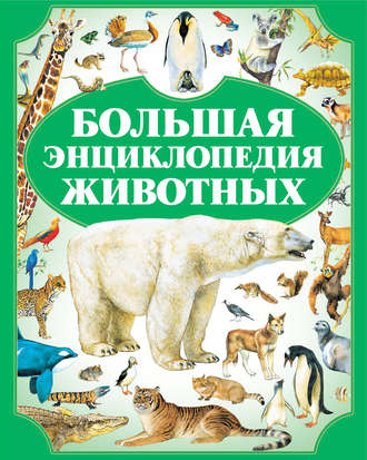 . Большая энциклопедия животных
