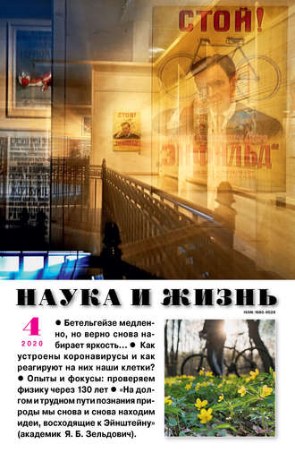 . Наука и жизнь №04/2020