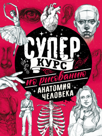 . Суперкурс по рисованию. Анатомия человека