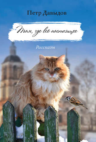 . Там, где всё настоящее. Рассказы