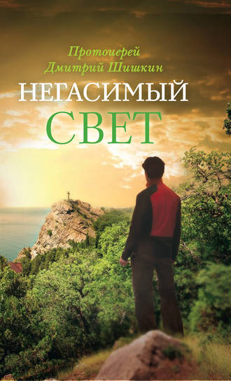протоиерей Димитрий Шишкин. Негасимый свет. Рассказы и очерки