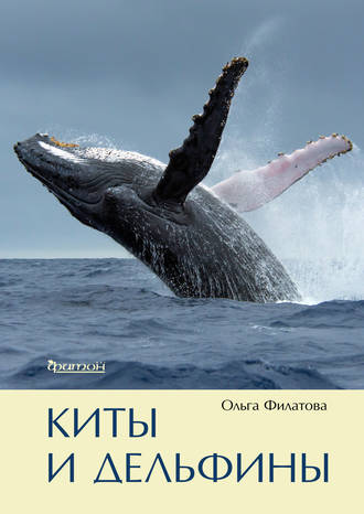 Ольга Филатова. Киты и дельфины