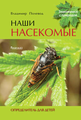 . Наши насекомые. Определитель для детей