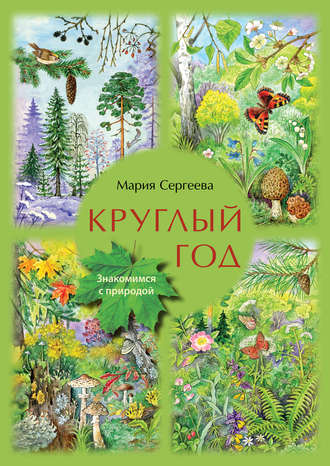 . Круглый год
