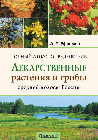 . Лекарственные растения и грибы средней полосы России