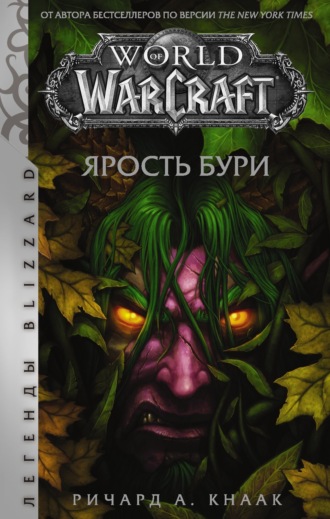 . World of Warcraft. Ярость Бури