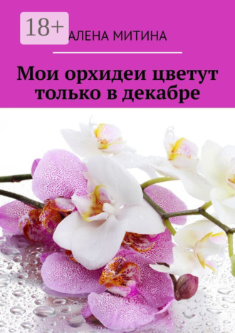 Алена Митина. Мои орхидеи цветут только в декабре