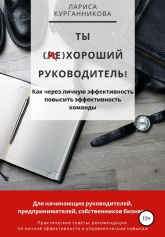 Лариса Курганникова. Ты (не)хороший руководитель. Как через личную эффективность повысить эффективность команды