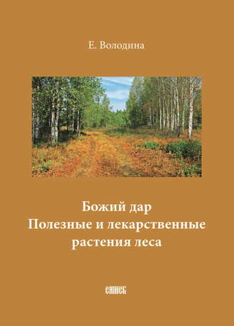 Е. М. Володина. Божий дар. Полезные и лекарственные растения леса