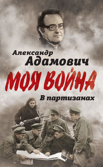 . В партизанах