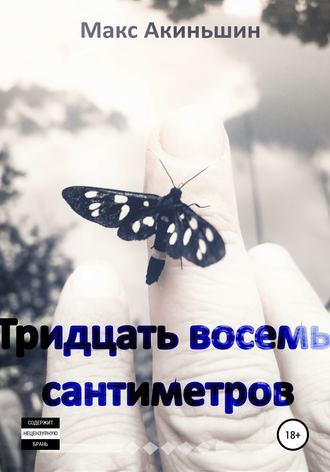 . Тридцать восемь сантиметров