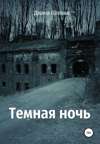 . Тёмная ночь