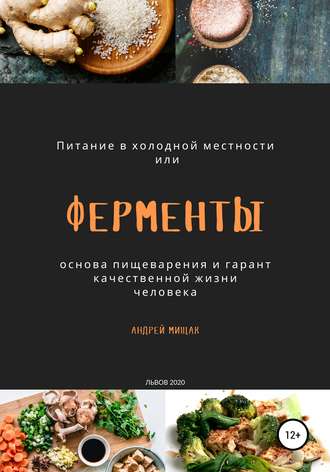 . Ферменты как основа пищеварения и гарант качественной жизни человека. Питание в холодной местности