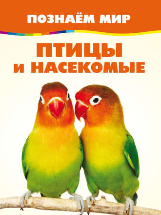 . Птицы и насекомые