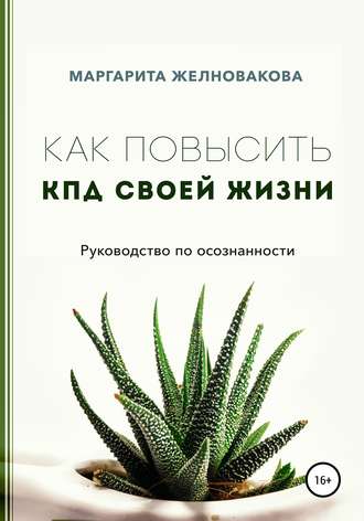 Маргарита Желновакова. Как повысить КПД своей жизни