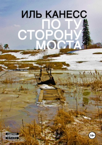 . По ту сторону моста