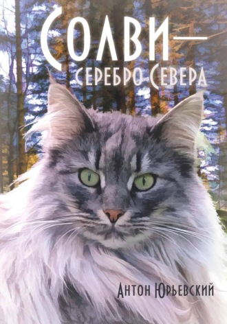 Антон Юрьевский. Солви - серебро Севера